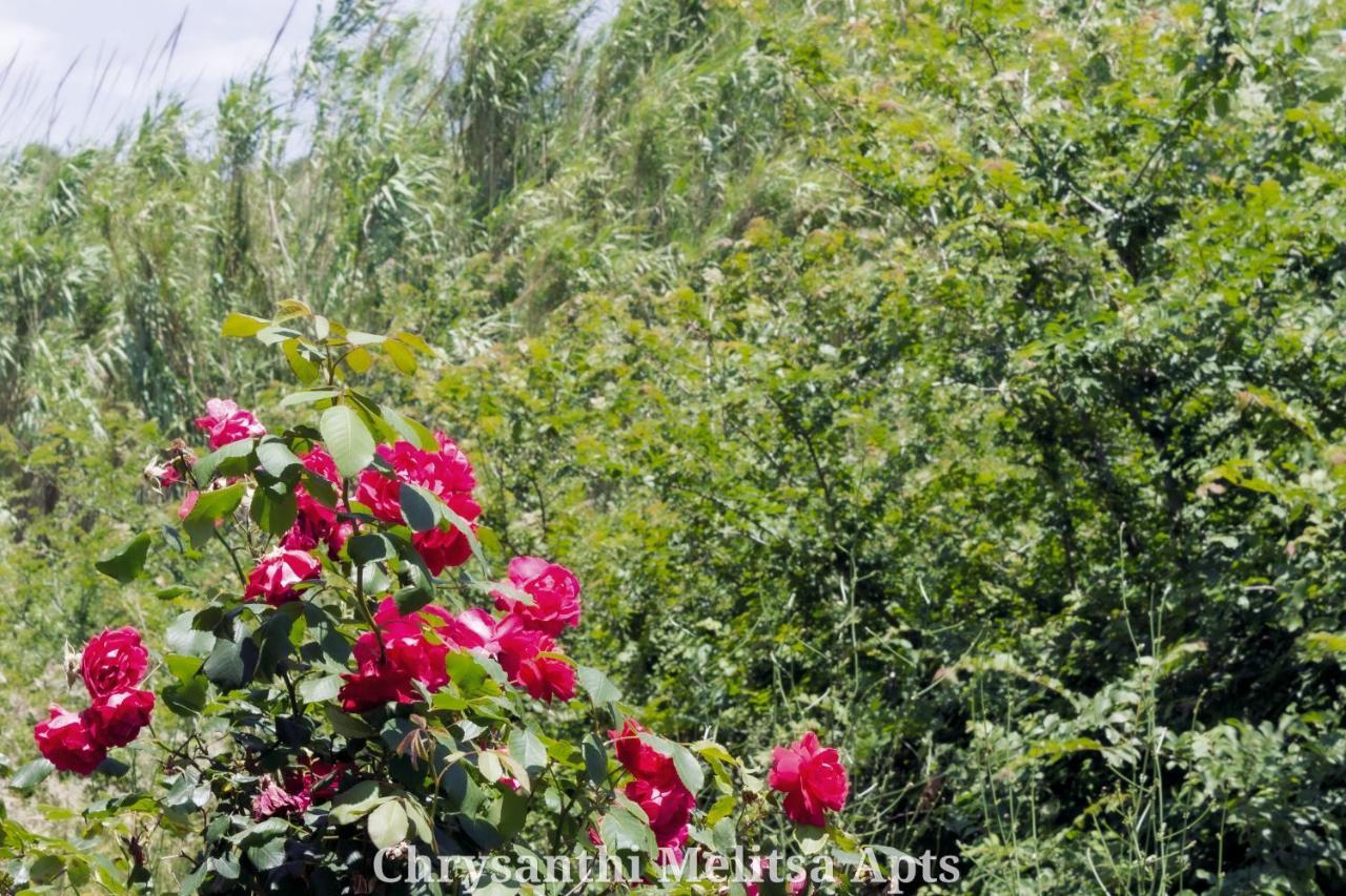 Chrysanthi Melitsa Apts. Sidárion المظهر الخارجي الصورة